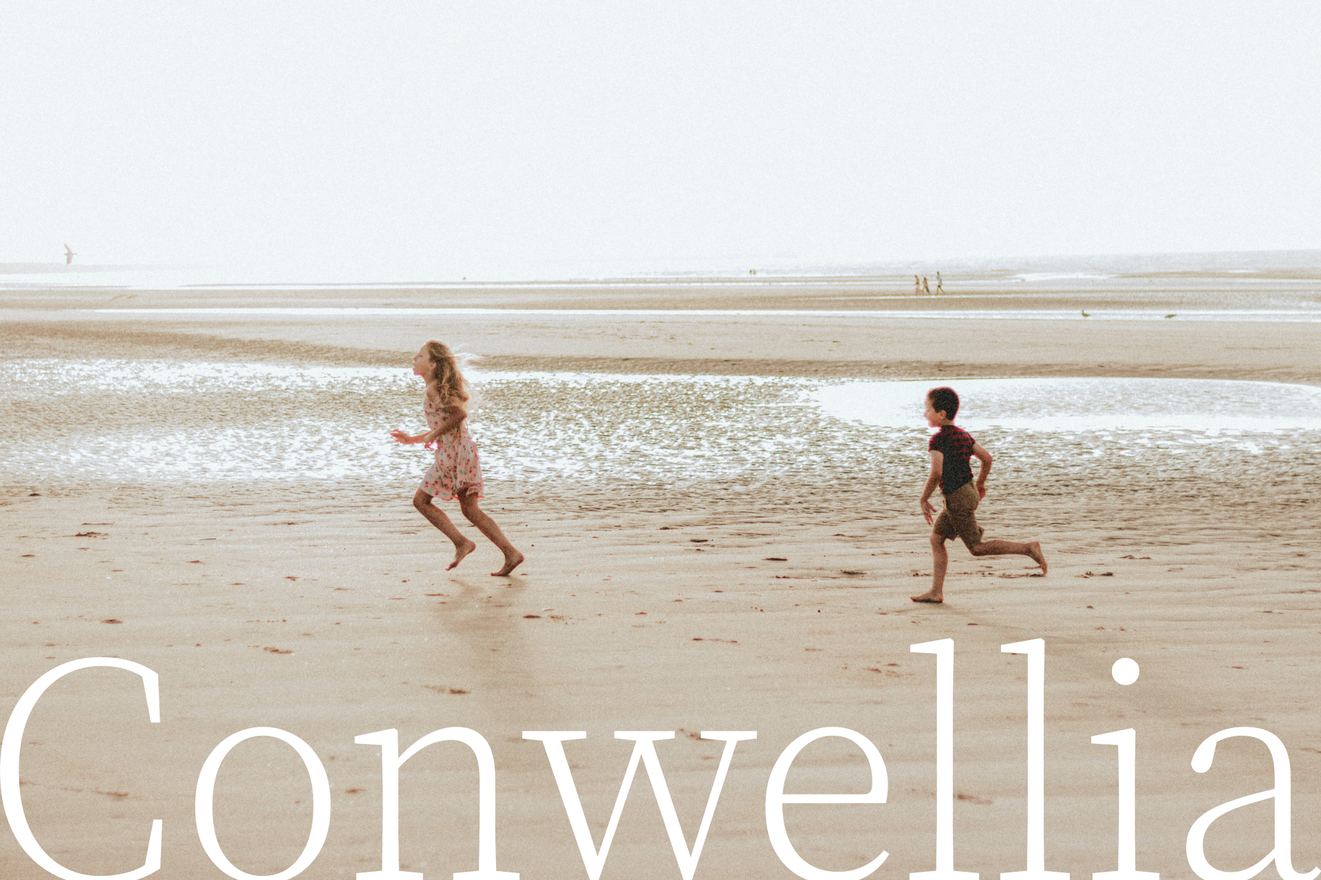 Conwellia
